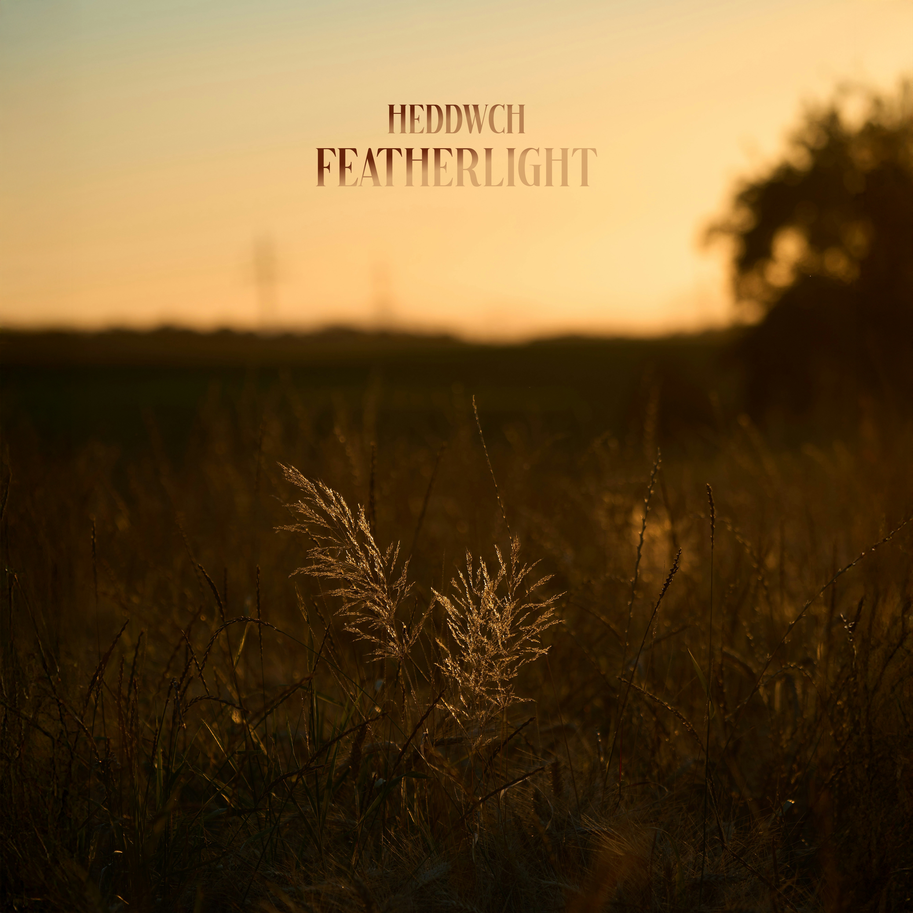 Featherlight - Single