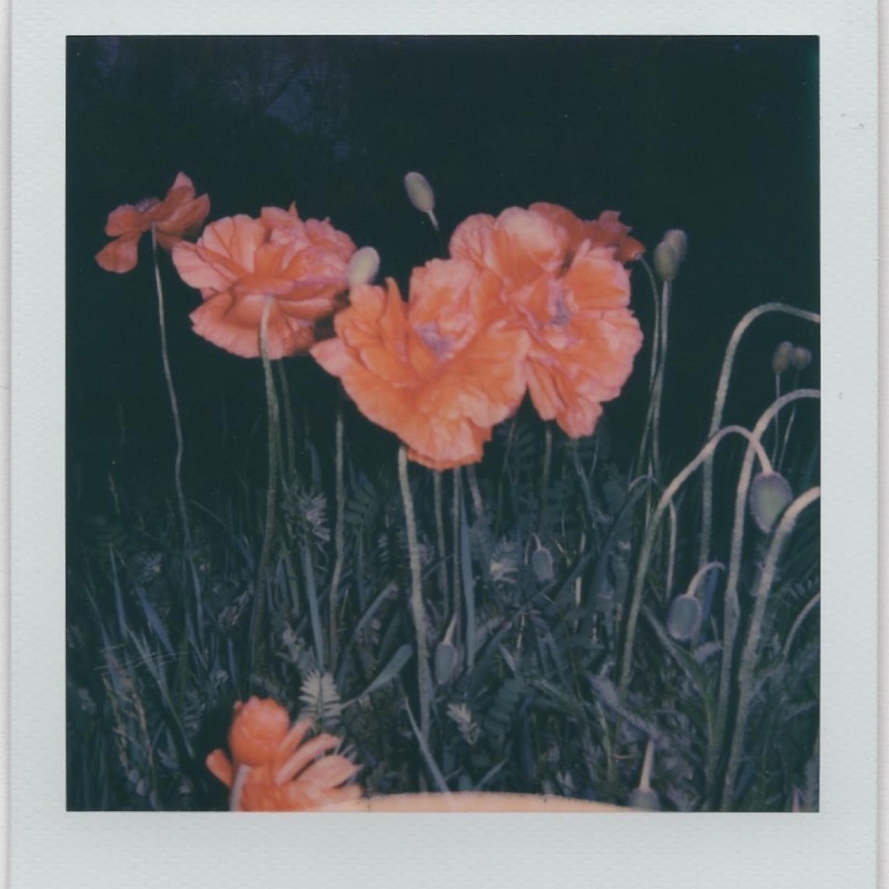 Picture Perfect - Single