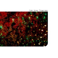 Wake Up its Xmas - Single - UQiYO