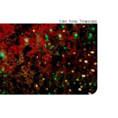 Wake Up its Xmas - Single