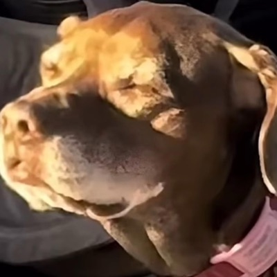 what love be (faster version + uncut) - Single