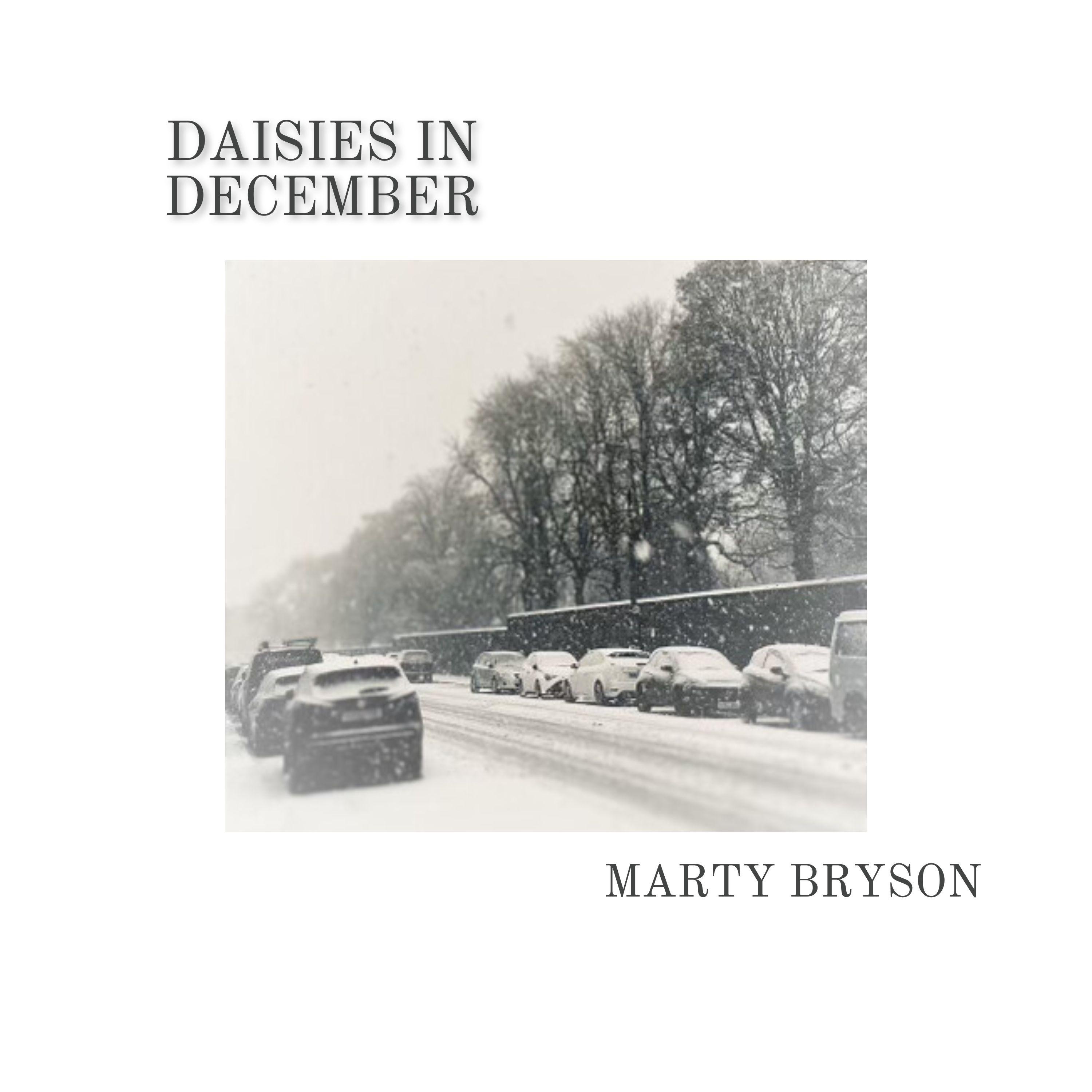 Daisies In December - Single