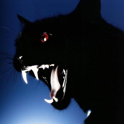 Zombieland / Penthouse - Single