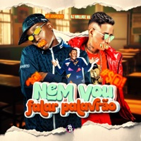 Nem Vou Falar Palavrão (feat. Mc LcKaiique) - Single - DJ Wallace NK