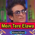 Mein Tere Elawa - Single