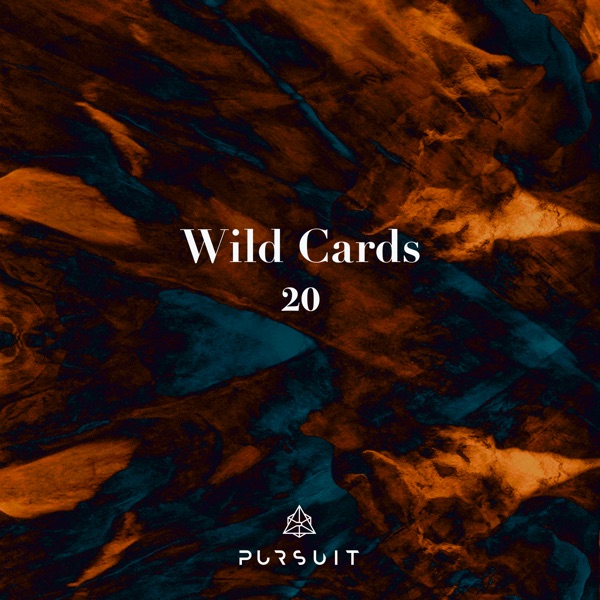 Wild Cards 20 - Single