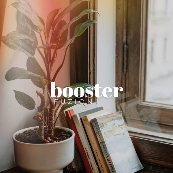 Booster - Single