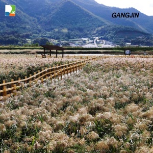 GANGJIN - Single