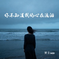 你不知道我的心在流泪 - Single - 黑豆ado