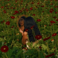 Bloom Again - Single - Sante SVM
