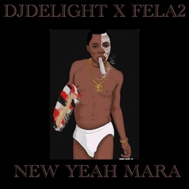 New Yeah (feat. Fela 2) Djdelight