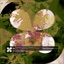 Another Level of Love (Trail Remix) [feat. aya dia] - Single