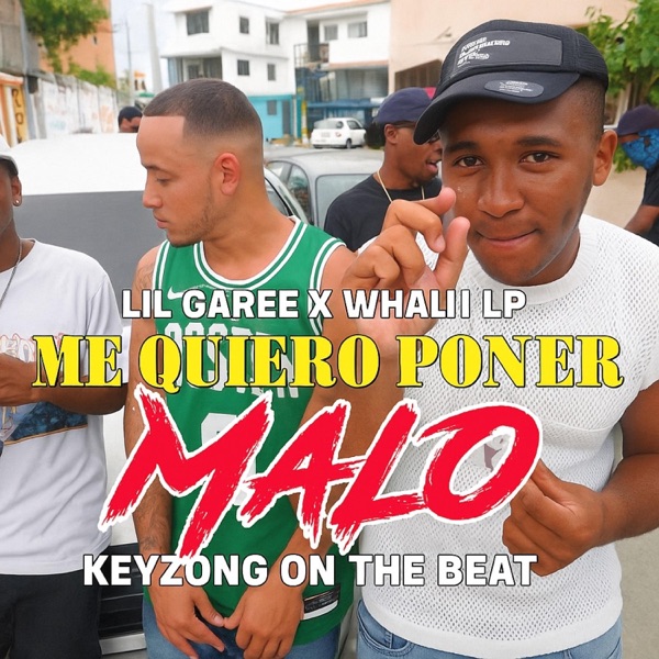 Me Quiero Poner Malo (feat. Whali Lp)