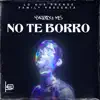 Stream & download No Te Borro - Single