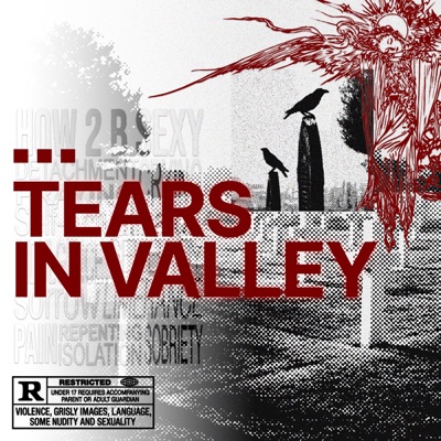 TEARS IN VALLEY - EP