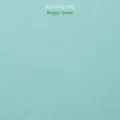 Baggy Green