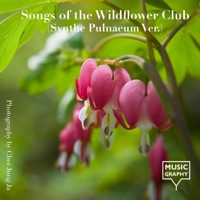 Songs of the Wildflower Club (Synthe Pulnaeum Ver.) - Single - Musicgraphy