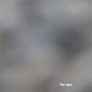 The mist (feat. Henrik Meierkord) - Single
