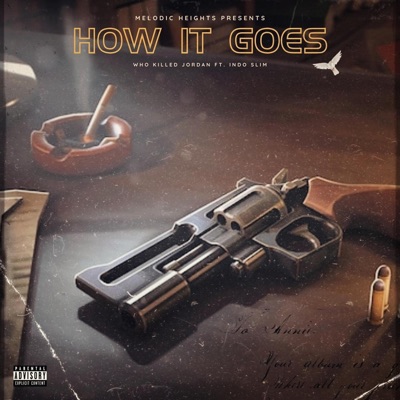 How It Goes (feat. WHO KILLED JORDAN) - Single