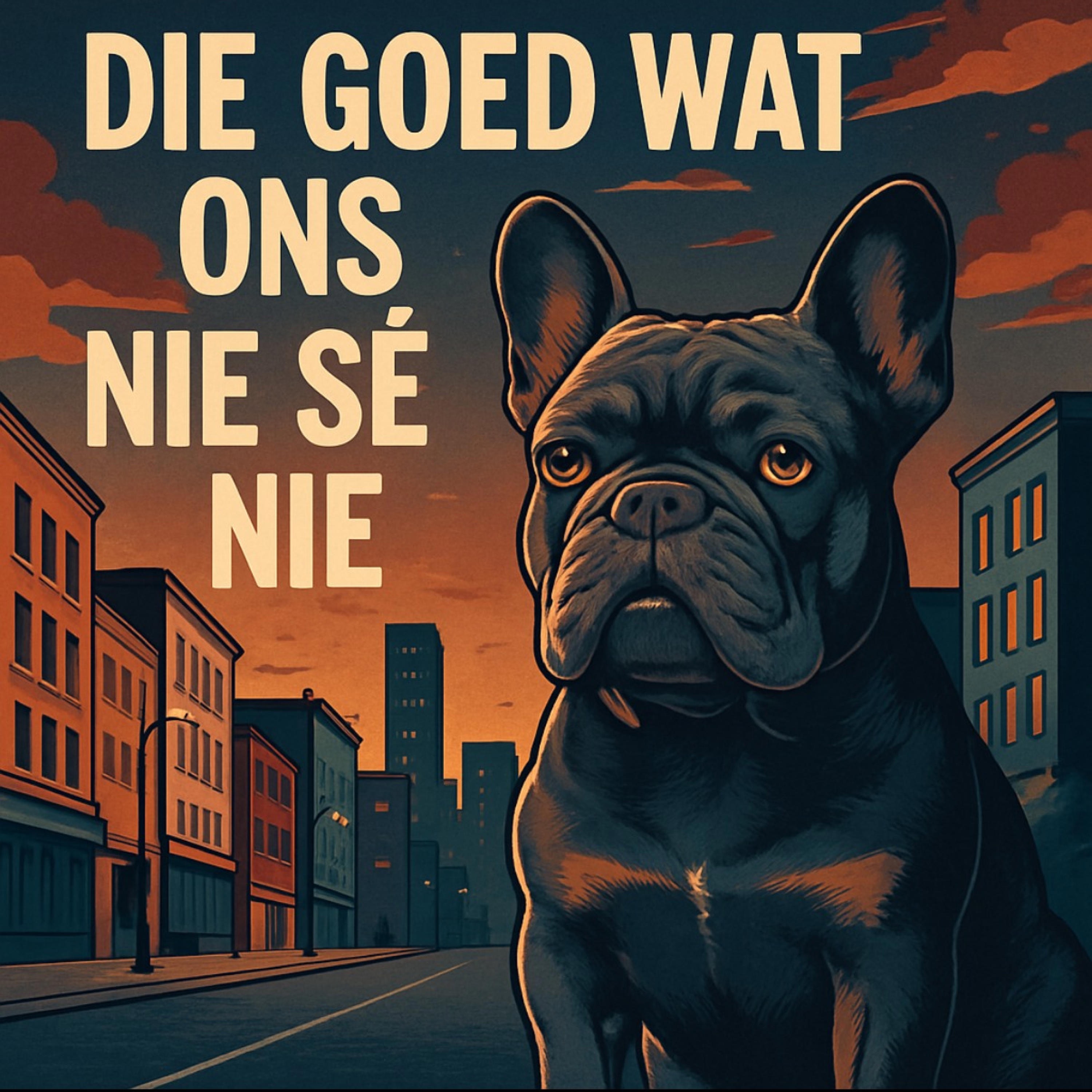 Die Goed wat ons nie sê nie - Single