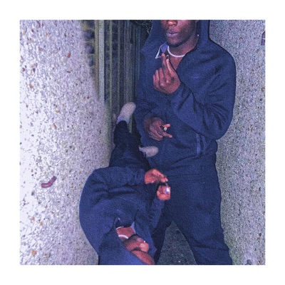 Caught For Fraud! - Single