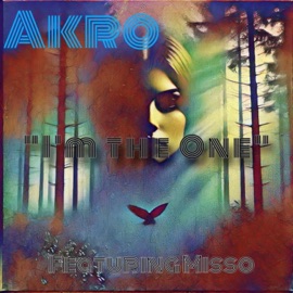 I'm the One (feat. Misso) Akro