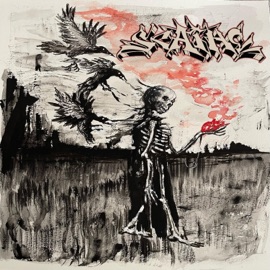 FRAGMENT (feat. Danny) Scathe