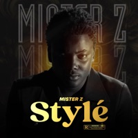 Stylé - Single - Mister Z