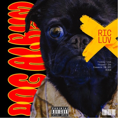 DOG ALBUM