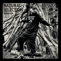 Natural Selection - DJ Halabi