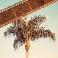 Palm Tree - Single - AP Compas & Elduets