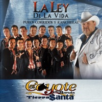 Album cover for El Narco Jet by El Coyote y Su Banda Tierra Santa