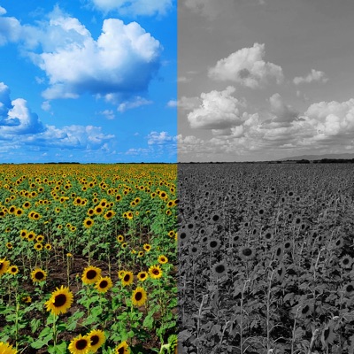 Me Dijeron Tus Papás - Single