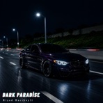 Dark Paradise - Single