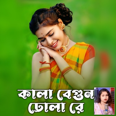 Kala Begun Dhola - Single
