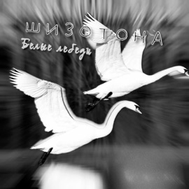 Белые лебеди шизотона