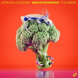 Back To The Groove (feat. DJ Deeon) Justin Jay & coldsweat