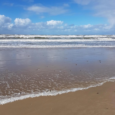 Loved You From the Start - Single