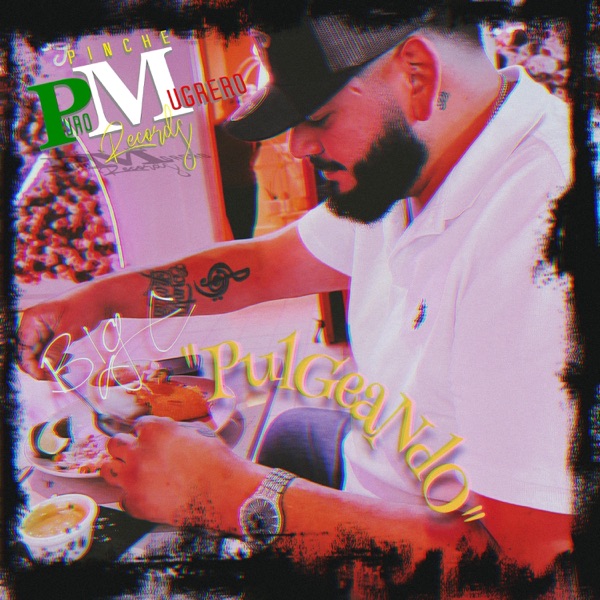 Pulgeando