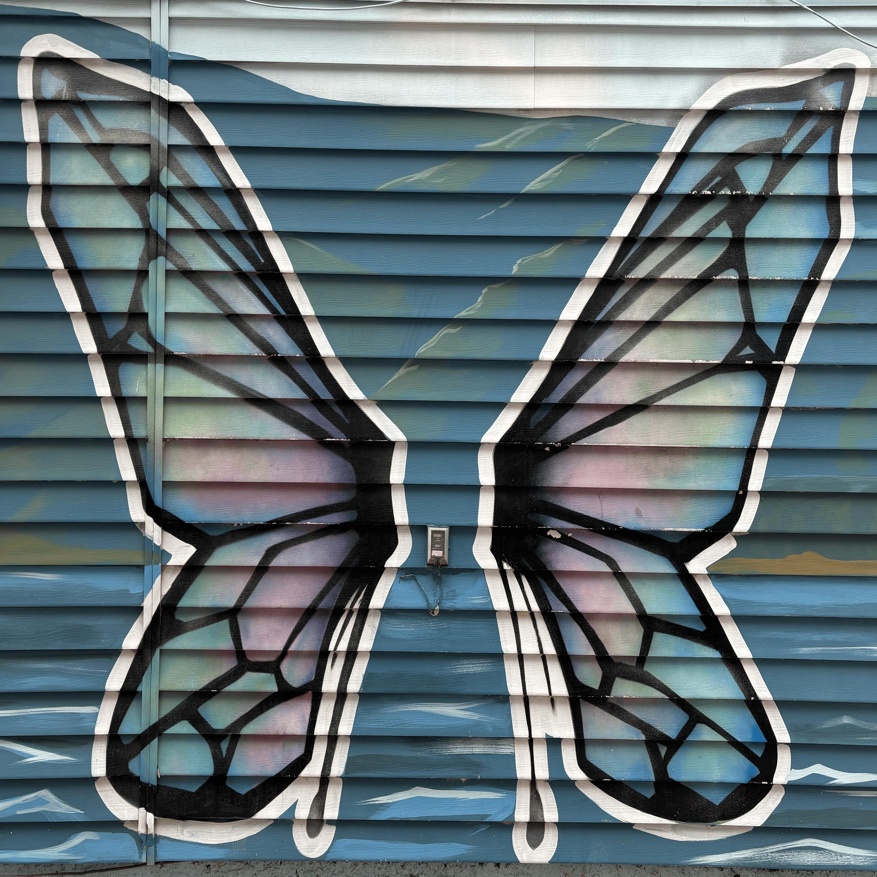 The Butterflies Within