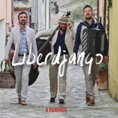 Liberdjango (feat. Tolga During) artwork