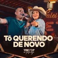 Tô Querendo de Novo (Vibetop no Pisanejo) - Single - Vibetop