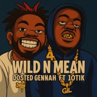 Wild N Mean (feat. 10Tik) - Single - Dosted Gennah