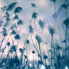 Benoît Pioulard & Viul - Canaan