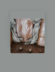 TINKERHELL: песни, клипы, биография, даты выступлений и многое другое.