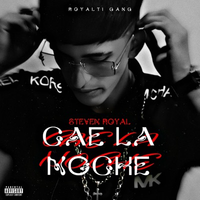 CAE LA NOCHE - Single