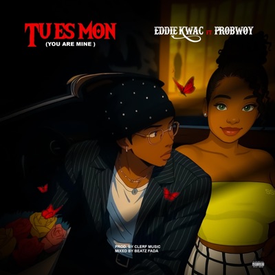 Tu es Mon (feat. ProBwoy) - Single