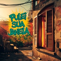 Pulei Sua Janela - Single - dj rangel do taquaril, Mc Magrinho & Mc Rd