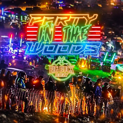PARTY IN THE WOODS - Single