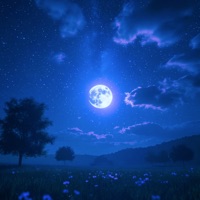 euphoria - EP - D.P.